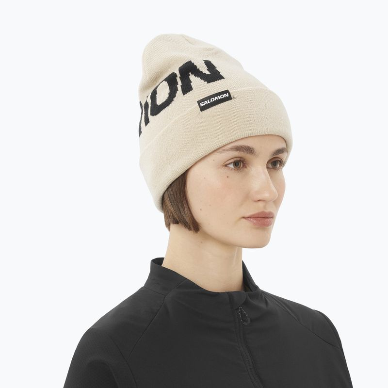 Шапка зимова Salomon Hermitage whisper white 3