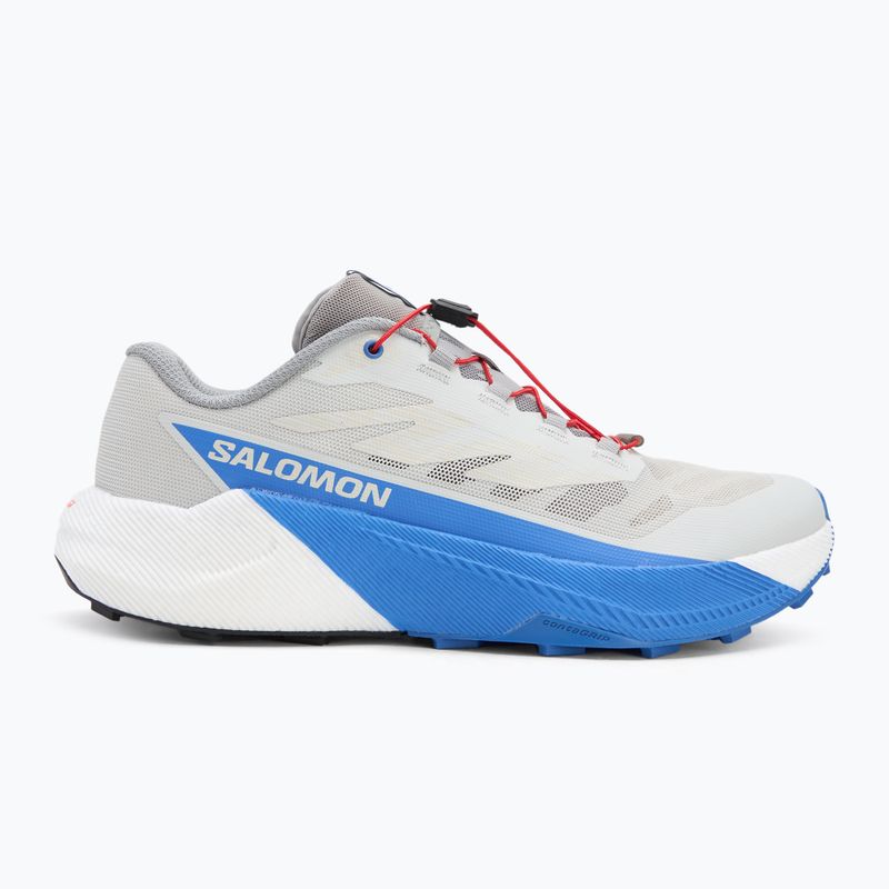Кросівки для бігу чоловічі Salomon Pulsar lunar rock/white/french blue 2