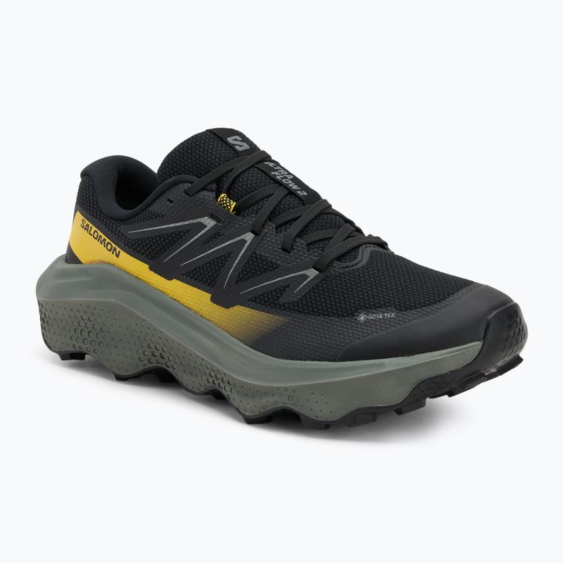 Кросівки для бігу чоловічі Salomon Ultra Flow 2 GTX black/sedona sage/incaberry