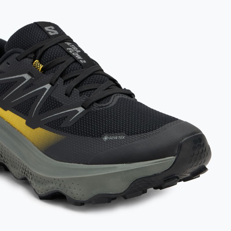 Кросівки для бігу чоловічі Salomon Ultra Flow 2 GTX black/sedona sage/incaberry 7