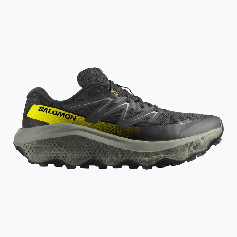 Кросівки для бігу чоловічі Salomon Ultra Flow 2 GTX black/sedona sage/incaberry 8