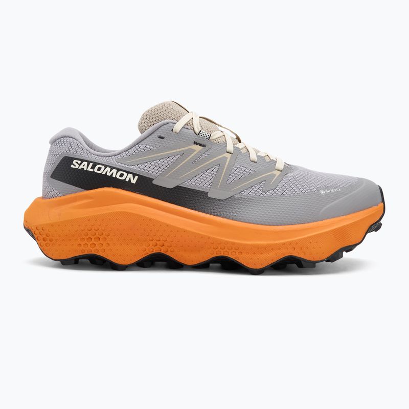 Кросівки для бігу чоловічі Salomon Ultra Flow 2 GTX gull/turmeric/white pepper 2