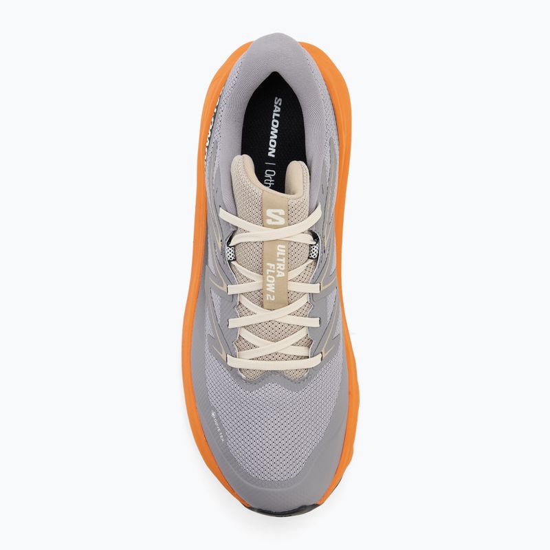 Кросівки для бігу чоловічі Salomon Ultra Flow 2 GTX gull/turmeric/white pepper 5