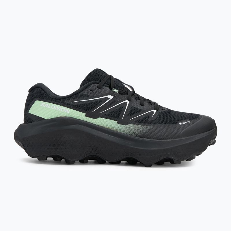 Кросівки для бігу чоловічі Salomon Ultra Flow 2 GTX black/black/patina green 2