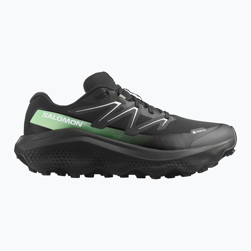 Кросівки для бігу чоловічі Salomon Ultra Flow 2 GTX black/black/patina green 8
