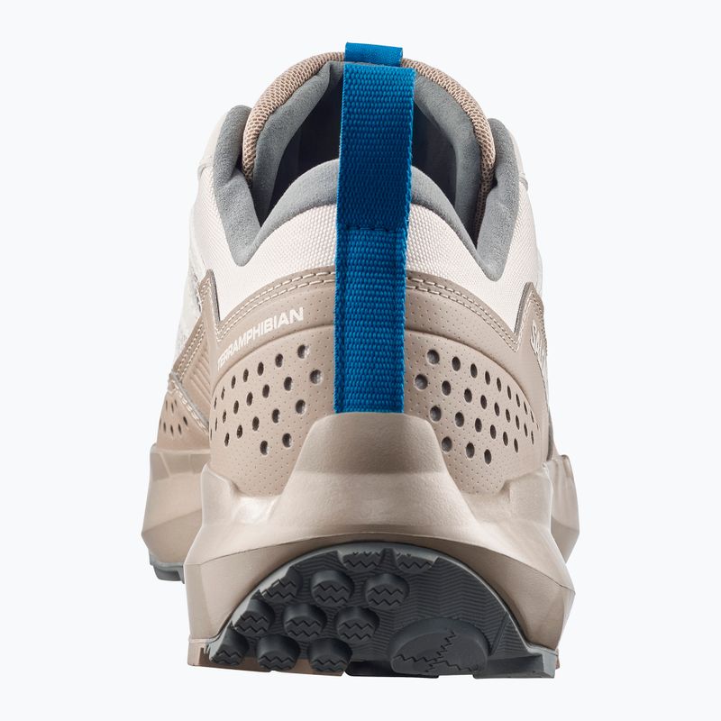 Кросівки туристичні чоловічі Salomon Techamphibian 5 rainy day/desert tan/mykonos blue 11