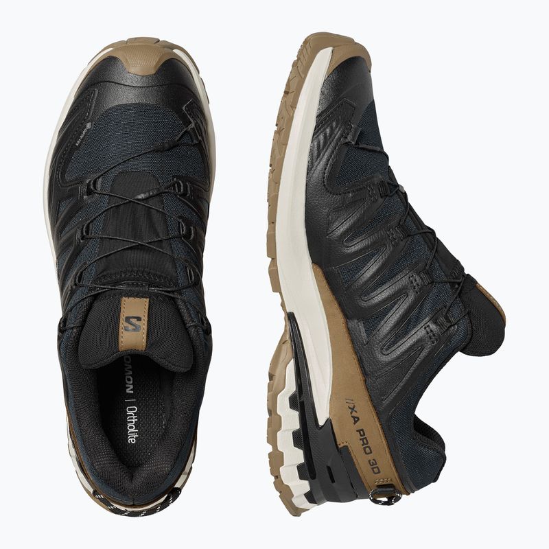 Кросівки для бігу чоловічі Salomon XA PRO 3D V9 GTX Lifelong black/coyote brown/vanilla ice 5