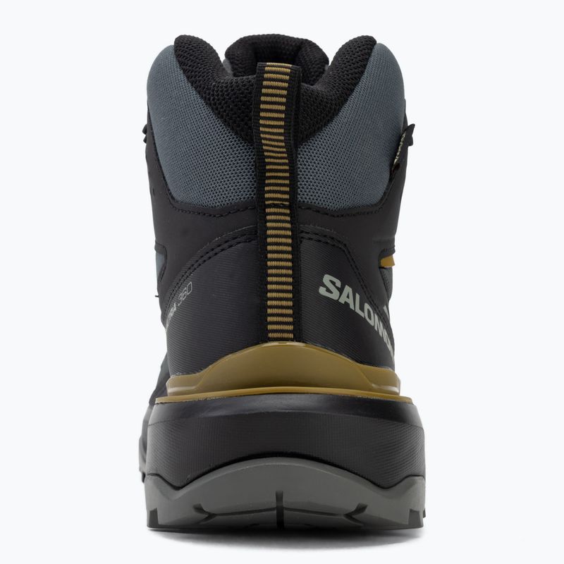 Черевики трекінгові чоловічі Salomon X Ultra 360 MID GTX urban chic/black 6