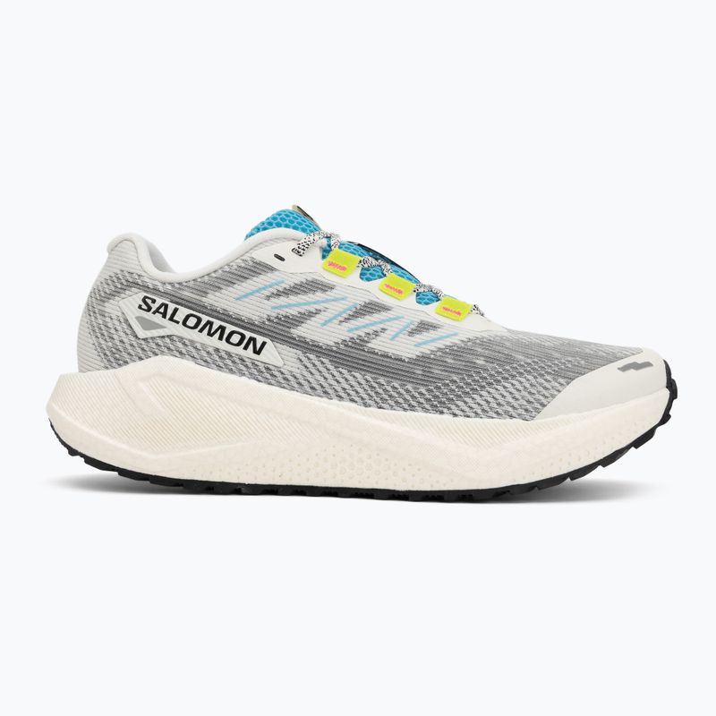 Кросівки для бігу чоловічі Salomon Aero Blaze 3 GRVL vanilla ice/ojos del salar/black 2