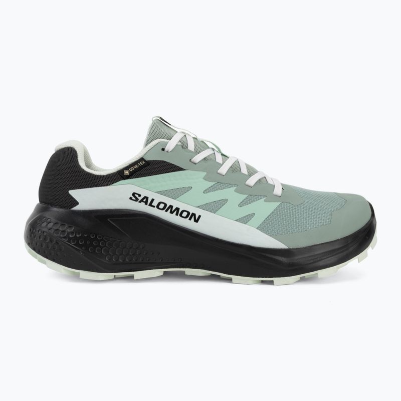 Кросівки для бігу жіночі Salomon Alphaglide GTX green milieu/asphalt 2