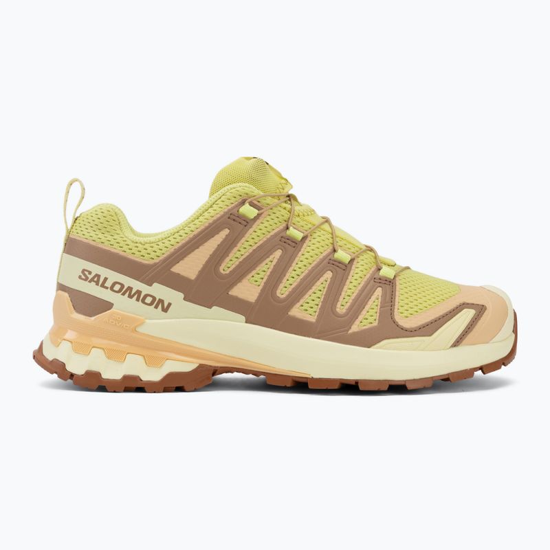 Кросівки для бігу жіночі Salomon XA Pro 3D V9 endive/burro/almond cream 2