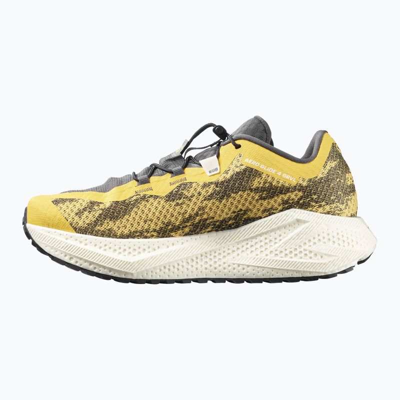 Кросівки для бігу чоловічі Salomon Aero Glide 4 GRVL beach ball/asphalt/vanilla ice 3