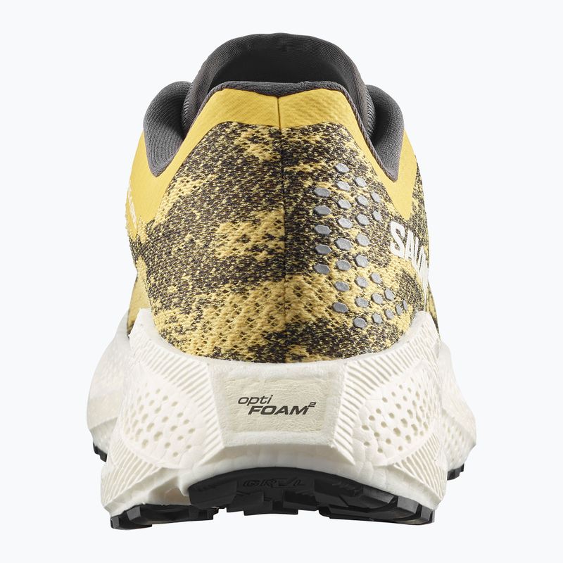 Кросівки для бігу чоловічі Salomon Aero Glide 4 GRVL beach ball/asphalt/vanilla ice 4