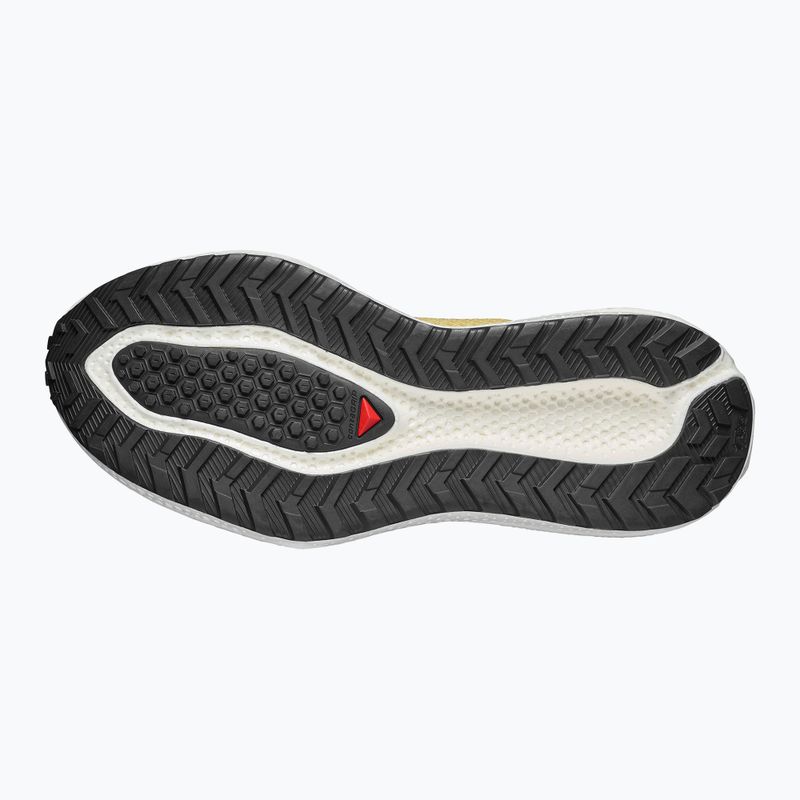 Кросівки для бігу чоловічі Salomon Aero Glide 4 GRVL beach ball/asphalt/vanilla ice 6