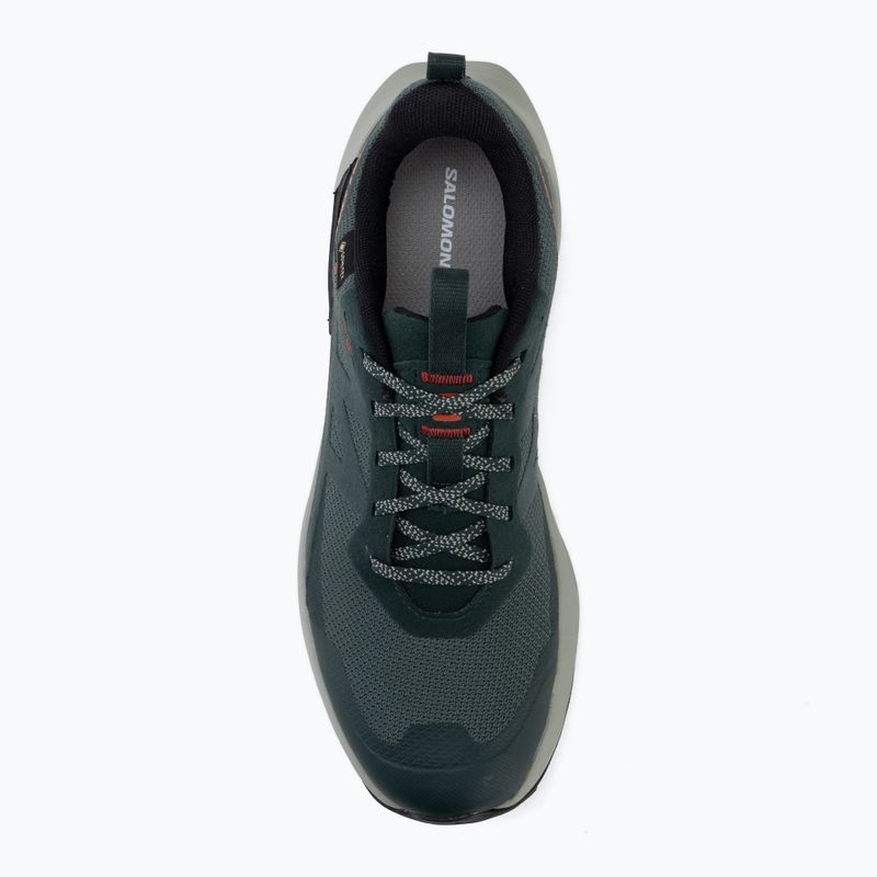 Кросівки туристичні чоловічі Salomon Elixir Activ GTX scarab/green gable 5