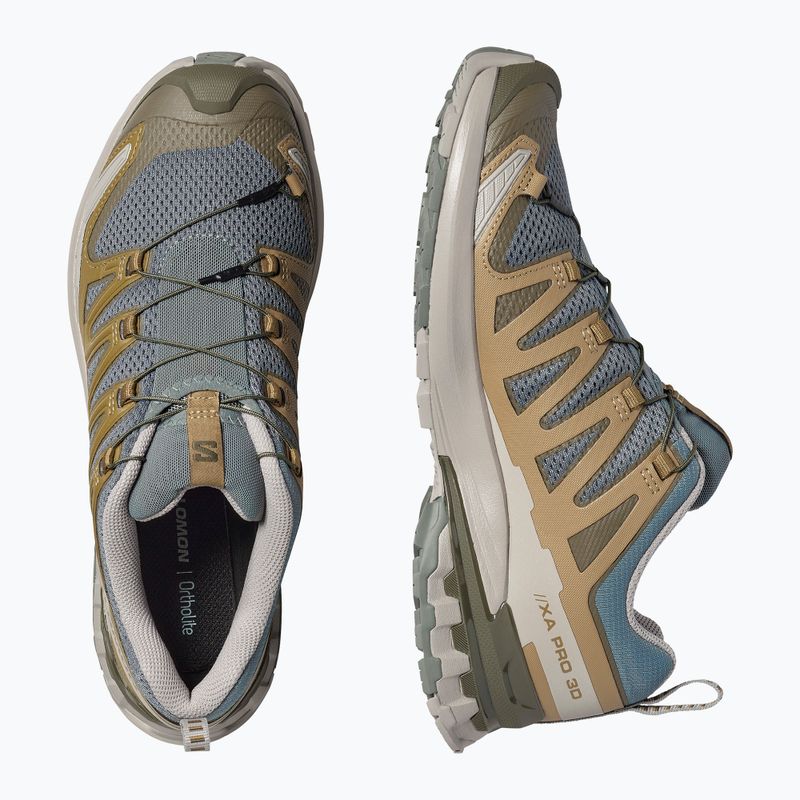 Кросівки для бігу чоловічі Salomon XA Pro 3D V9 sedona sage/plantation/paloma 5