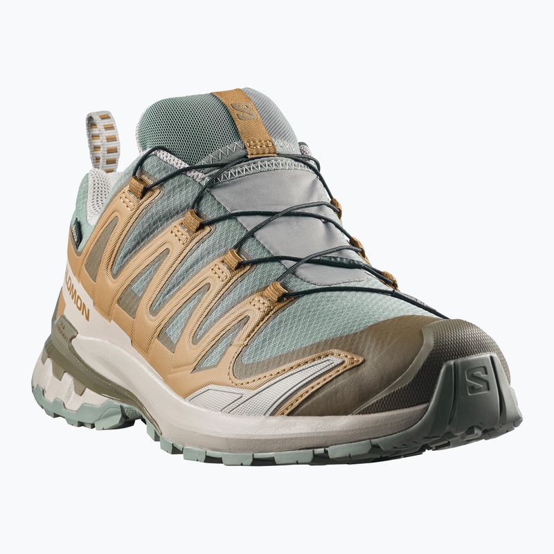 Кросівки для бігу чоловічі Salomon XA Pro 3D V9 GTX sedona sage/brilliant olive 2