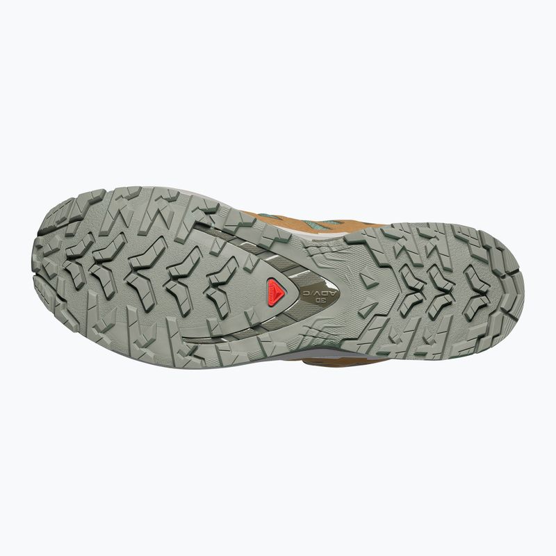 Кросівки для бігу чоловічі Salomon XA Pro 3D V9 GTX sedona sage/brilliant olive 4