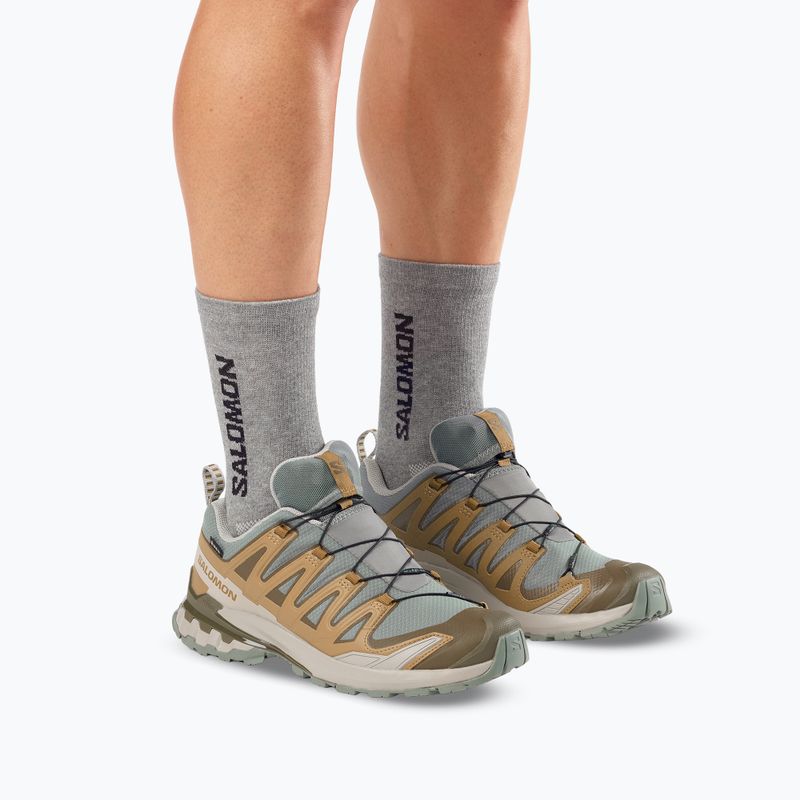 Кросівки для бігу чоловічі Salomon XA Pro 3D V9 GTX sedona sage/brilliant olive 6