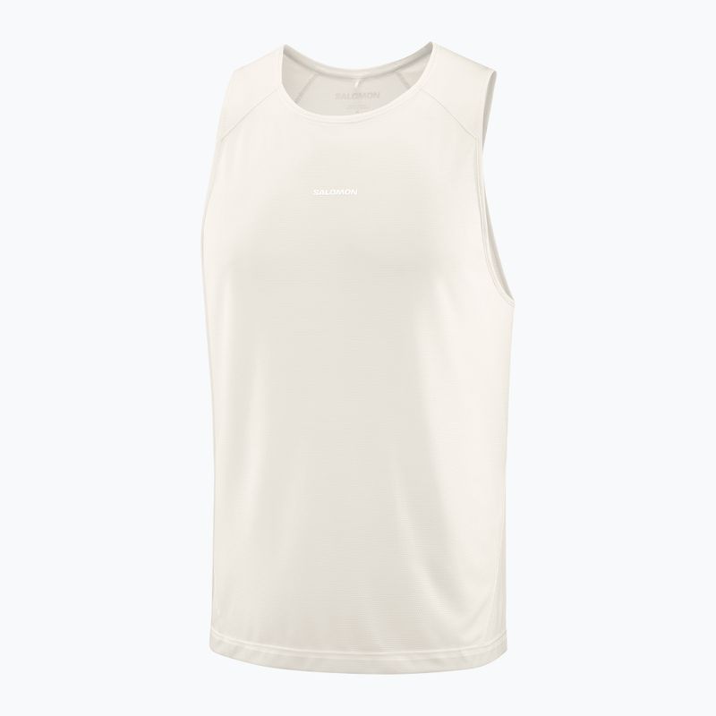 Футболка чоловіча Salomon Shakeout Core whisper white 3