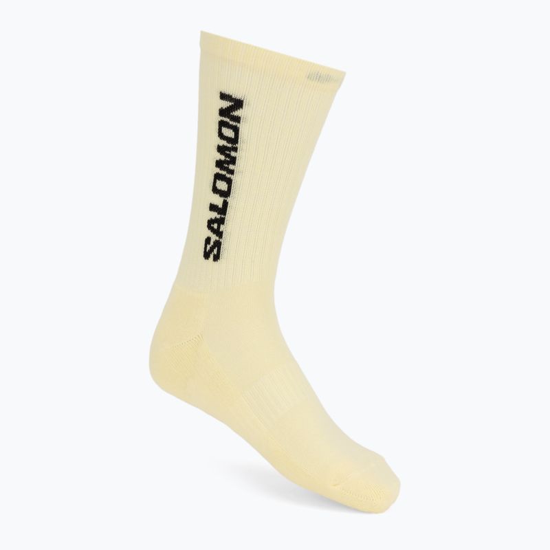 Шкарпетки Salomon Everyday Crew 3 pack brunnera blue/dusty yellow/icy pink 2