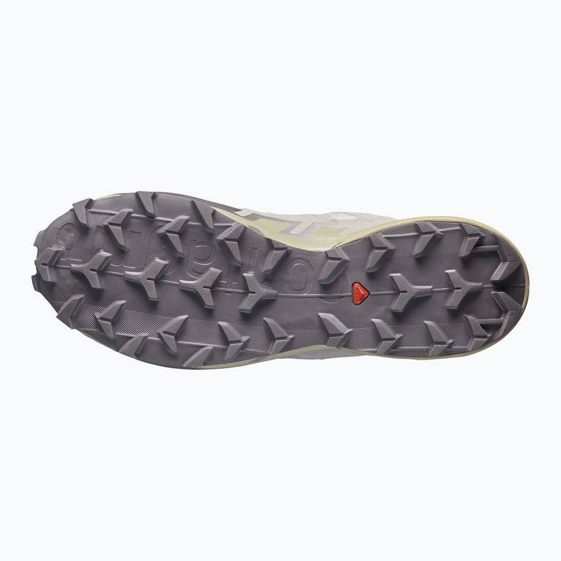Кросівки для бігу чоловічі Salomon Speedcross 6 silver cloud/paloma 5