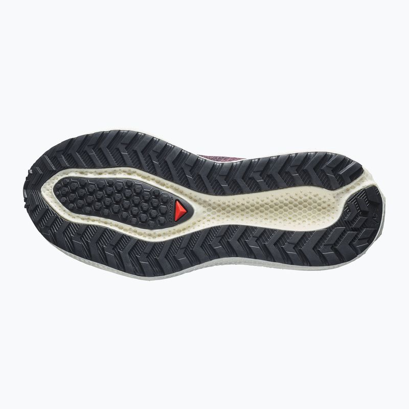 Кросівки для бігу жіночі Salomon Aero Glide 4 GRVL huckleberry/black 4