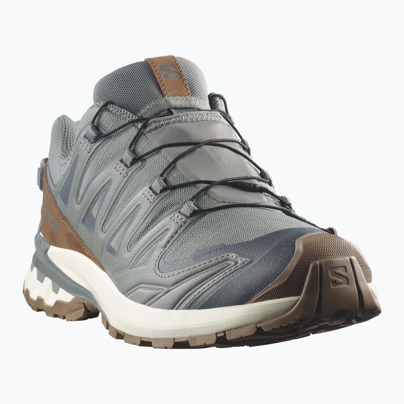 Кросівки для бігу чоловічі Salomon XA Pro 3D V9 GTX Lifelong sedona sage/coyote brown 2