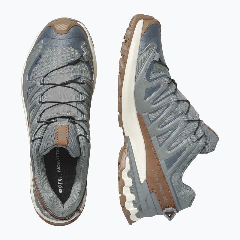 Кросівки для бігу чоловічі Salomon XA Pro 3D V9 GTX Lifelong sedona sage/coyote brown 3