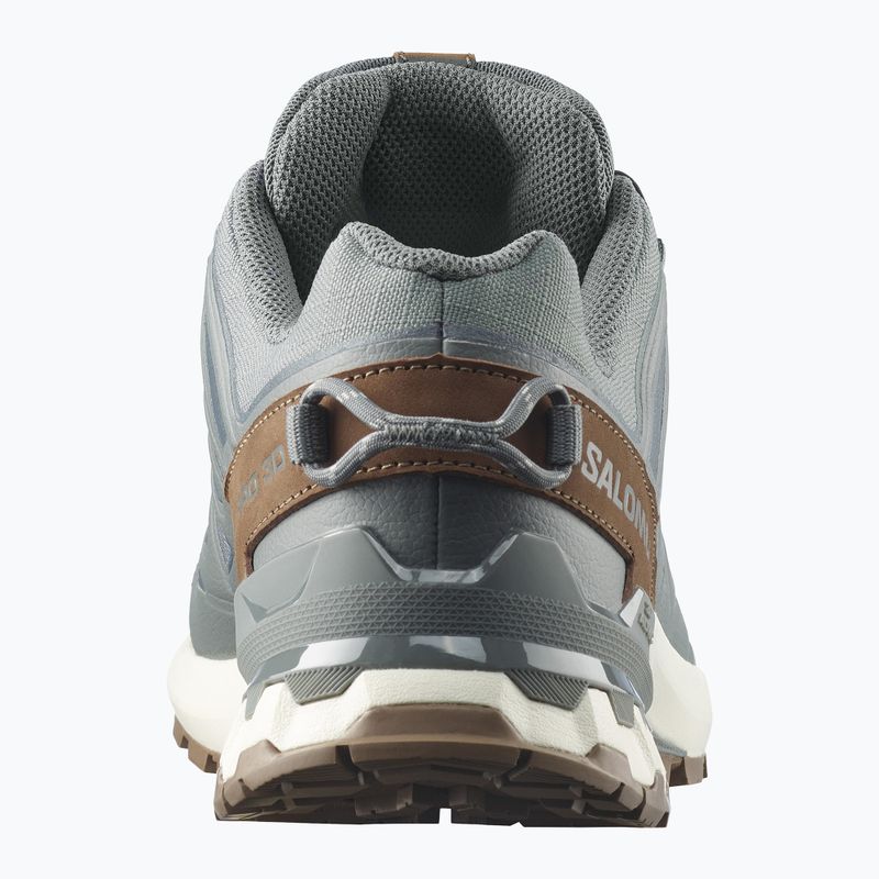 Кросівки для бігу чоловічі Salomon XA Pro 3D V9 GTX Lifelong sedona sage/coyote brown 5