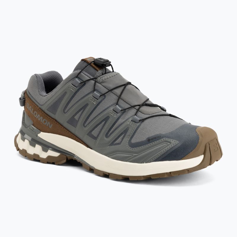 Кросівки для бігу чоловічі Salomon XA Pro 3D V9 GTX Lifelong sedona sage/coyote brown
