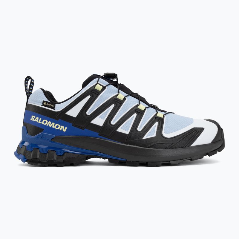 Кросівки для бігу чоловічі Salomon XA Pro 3D V9 GTX Icon black/brunnera blue 2