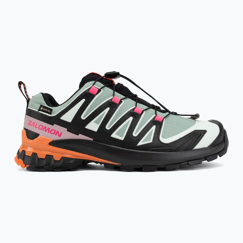 Кросівки для бігу жіночі Salomon XA Pro 3D V9 GTX Icon black/green milieu 2