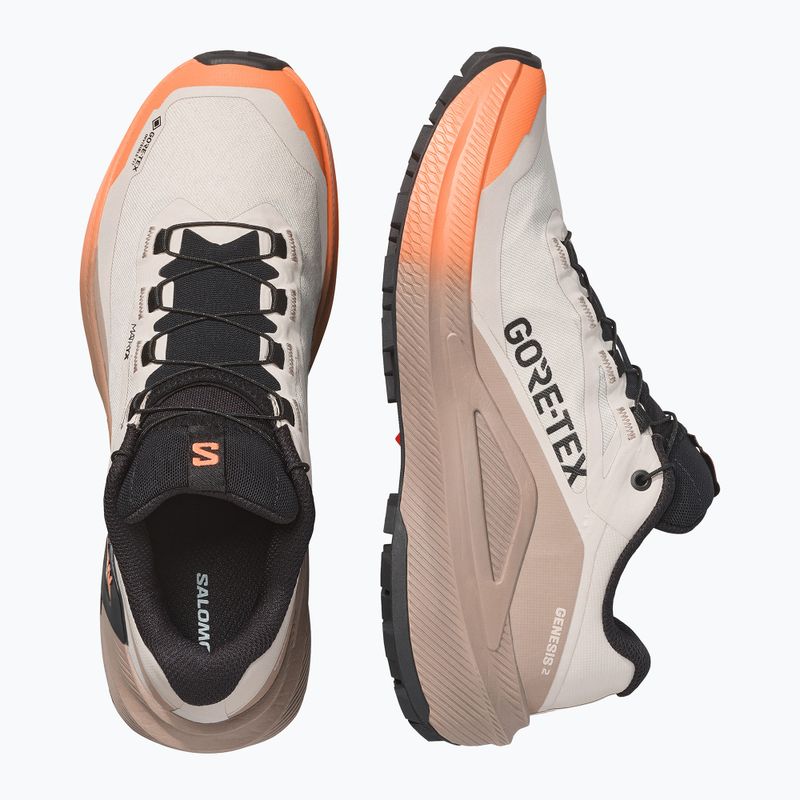 Кросівки для бігу жіночі Salomon Genesis 2 GTX rainy day/desert tan 3