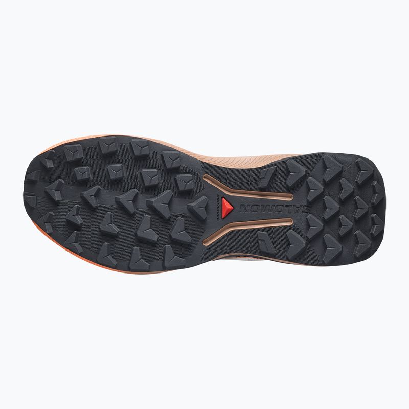 Кросівки для бігу жіночі Salomon Genesis 2 GTX rainy day/desert tan 4