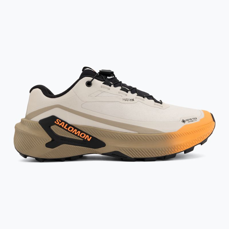 Кросівки для бігу жіночі Salomon Genesis 2 GTX rainy day/desert tan 2