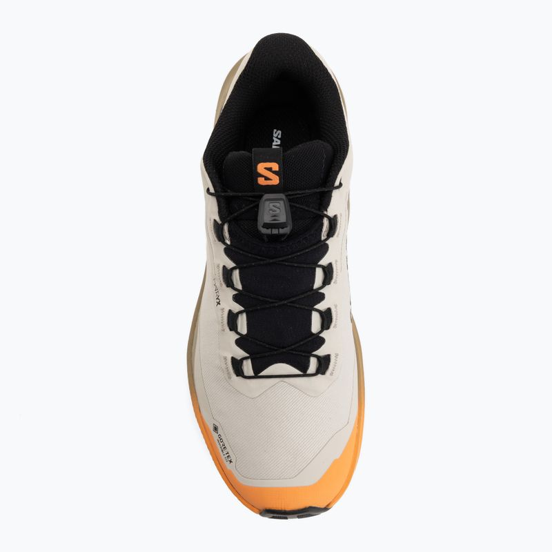 Кросівки для бігу жіночі Salomon Genesis 2 GTX rainy day/desert tan 5