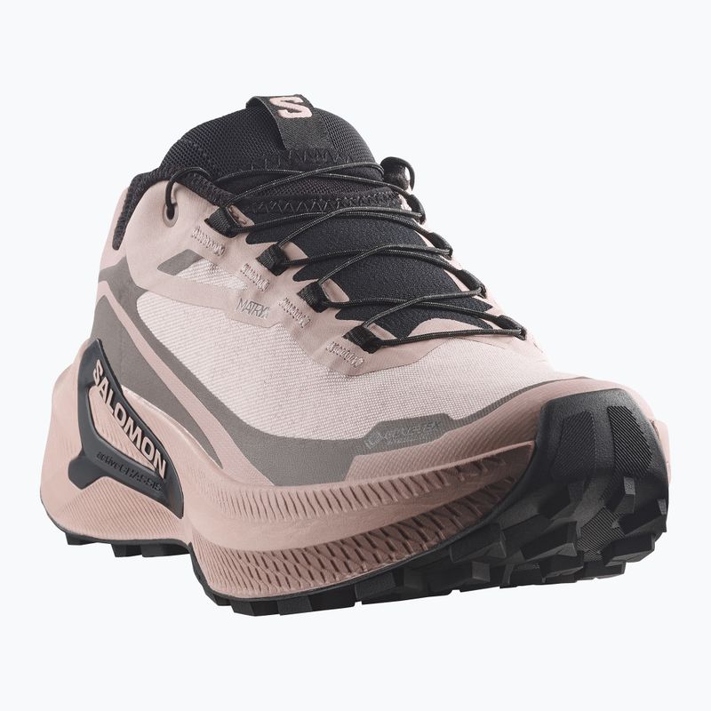 Кросівки для бігу жіночі Salomon Genesis 2 GTX shadow gray/iron