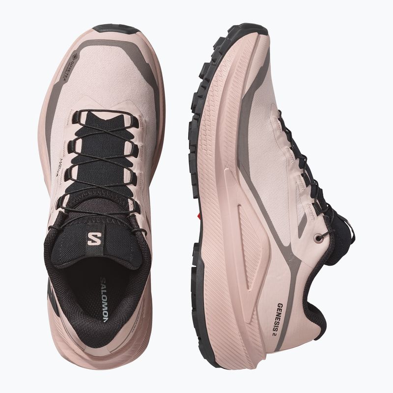 Кросівки для бігу жіночі Salomon Genesis 2 GTX shadow gray/iron 3
