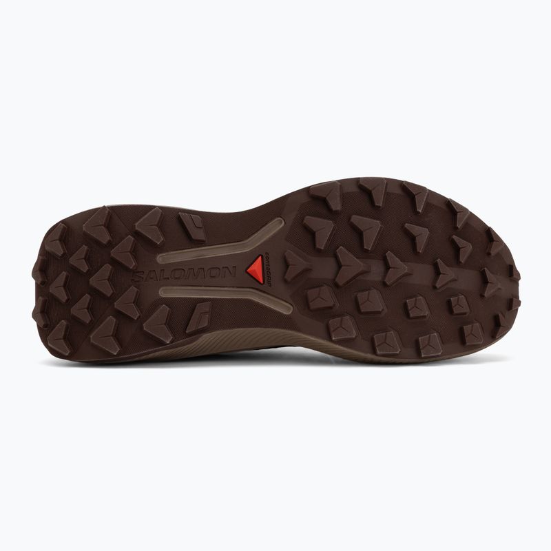Кросівки для бігу чоловічі Salomon Genesis 2 vanilla ice/iron 4