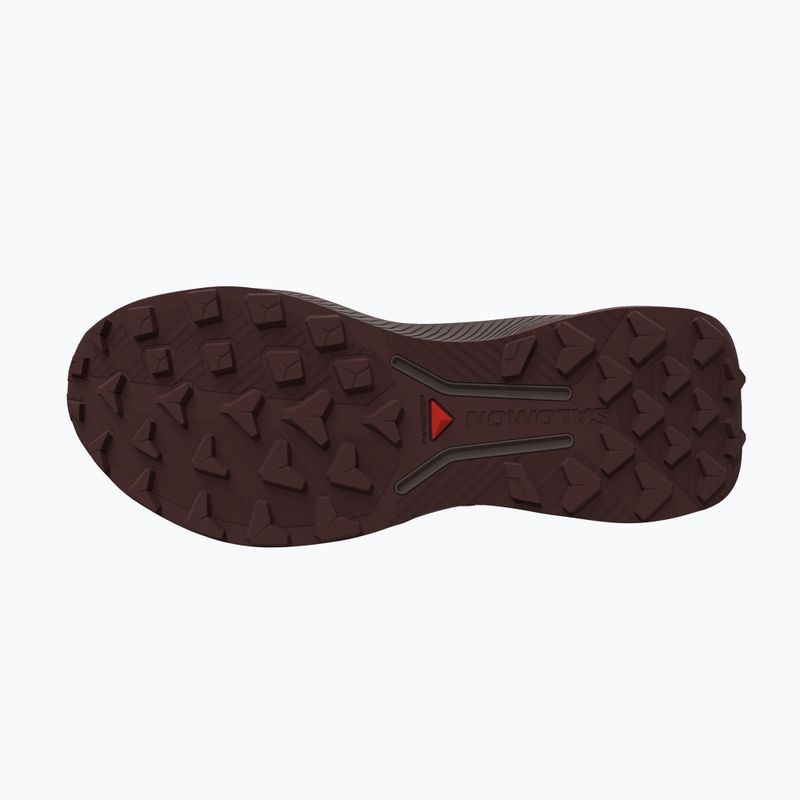 Кросівки для бігу чоловічі Salomon Genesis 2 vanilla ice/iron 3
