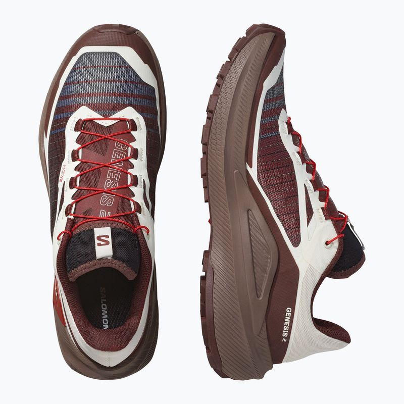 Кросівки для бігу чоловічі Salomon Genesis 2 vanilla ice/iron 4