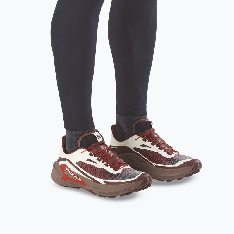 Кросівки для бігу чоловічі Salomon Genesis 2 vanilla ice/iron 5