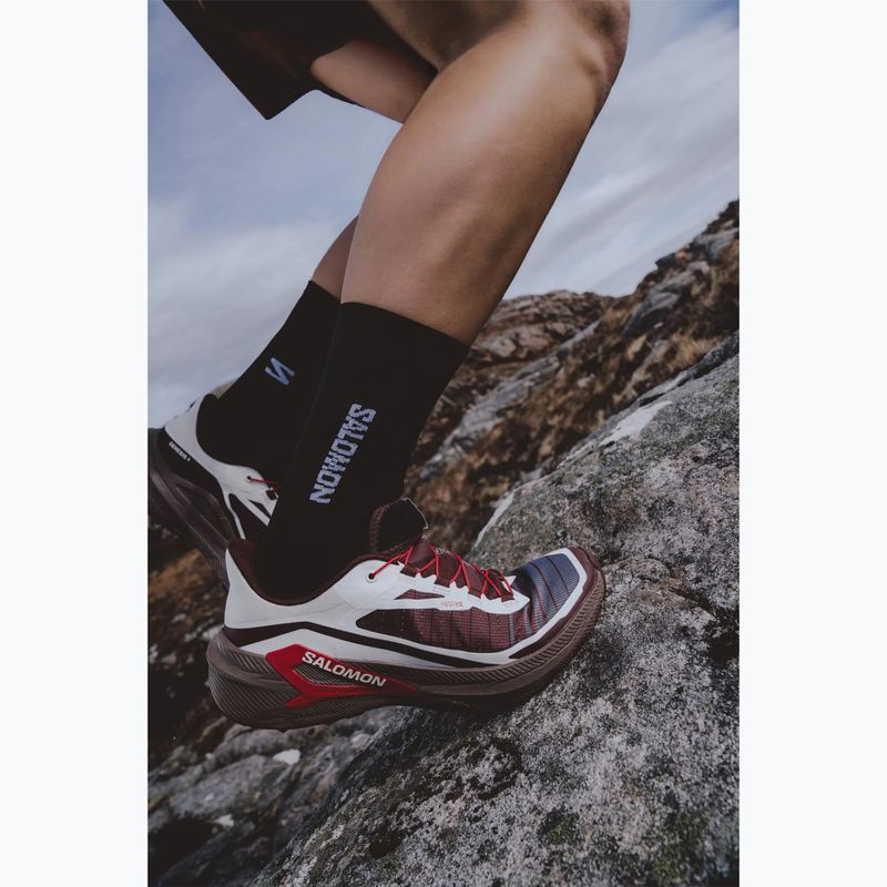 Кросівки для бігу чоловічі Salomon Genesis 2 vanilla ice/iron 6