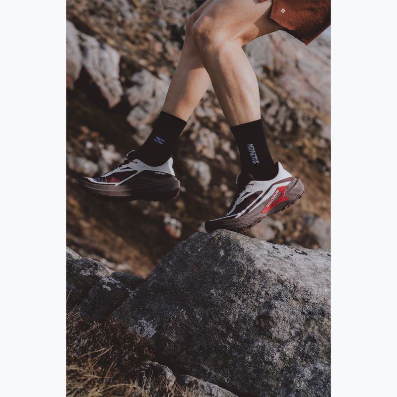Кросівки для бігу чоловічі Salomon Genesis 2 vanilla ice/iron 7