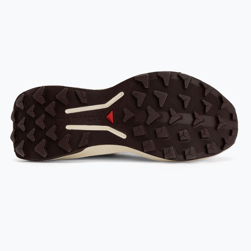 Кросівки для бігу жіночі Salomon Genesis 2 vanilla ice/huckleberry 4