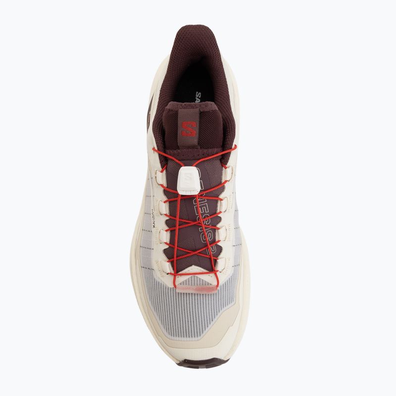 Кросівки для бігу жіночі Salomon Genesis 2 vanilla ice/huckleberry 5