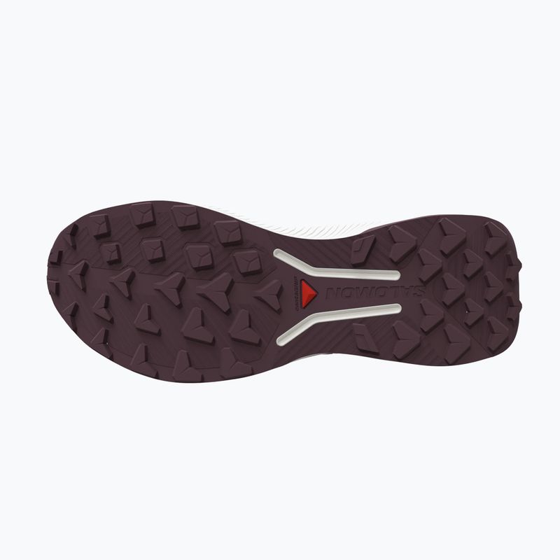 Кросівки для бігу жіночі Salomon Genesis 2 vanilla ice/huckleberry 4