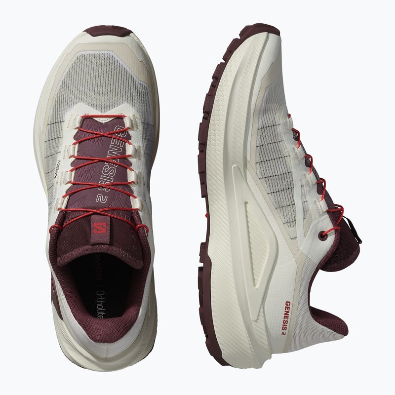 Кросівки для бігу жіночі Salomon Genesis 2 vanilla ice/huckleberry 5