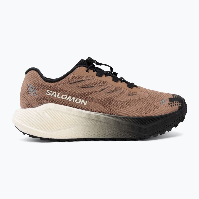 Кросівки для бігу чоловічі Salomon Aero Blaze 4 GRVL burro/vanilla ice 2